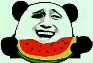 娱乐圈吃瓜群众是谁