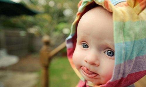 娱乐吃瓜酱花园宝宝