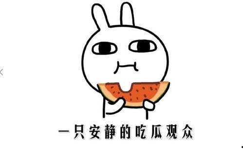 娱乐吃瓜酱如何吵架,一招制胜的口水战攻略