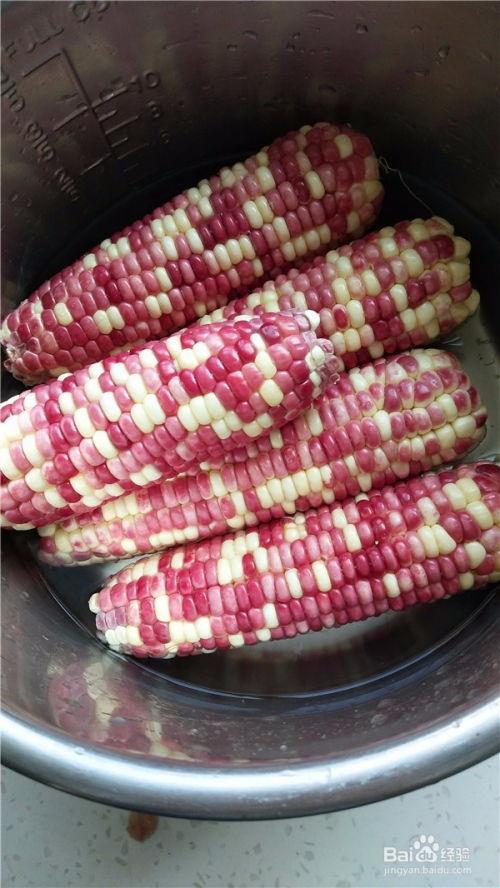 娱乐吃瓜酱玉米视频