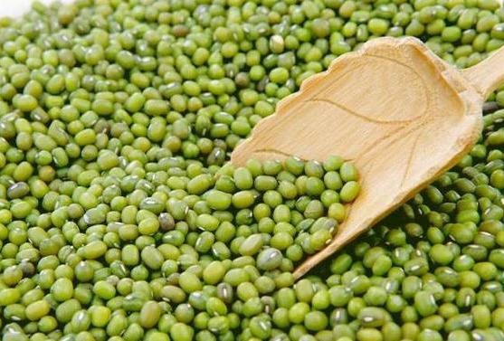 二豆娱乐吃瓜,揭秘娱乐圈吃瓜背后的真相